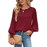 Aifer Womens Tops Dressy Casual Crew Neck Pleated Lantern Long Sleeve Work Shirts Chiffon Blouses Fashion