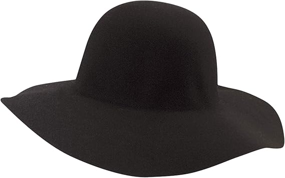 big floppy felt hat