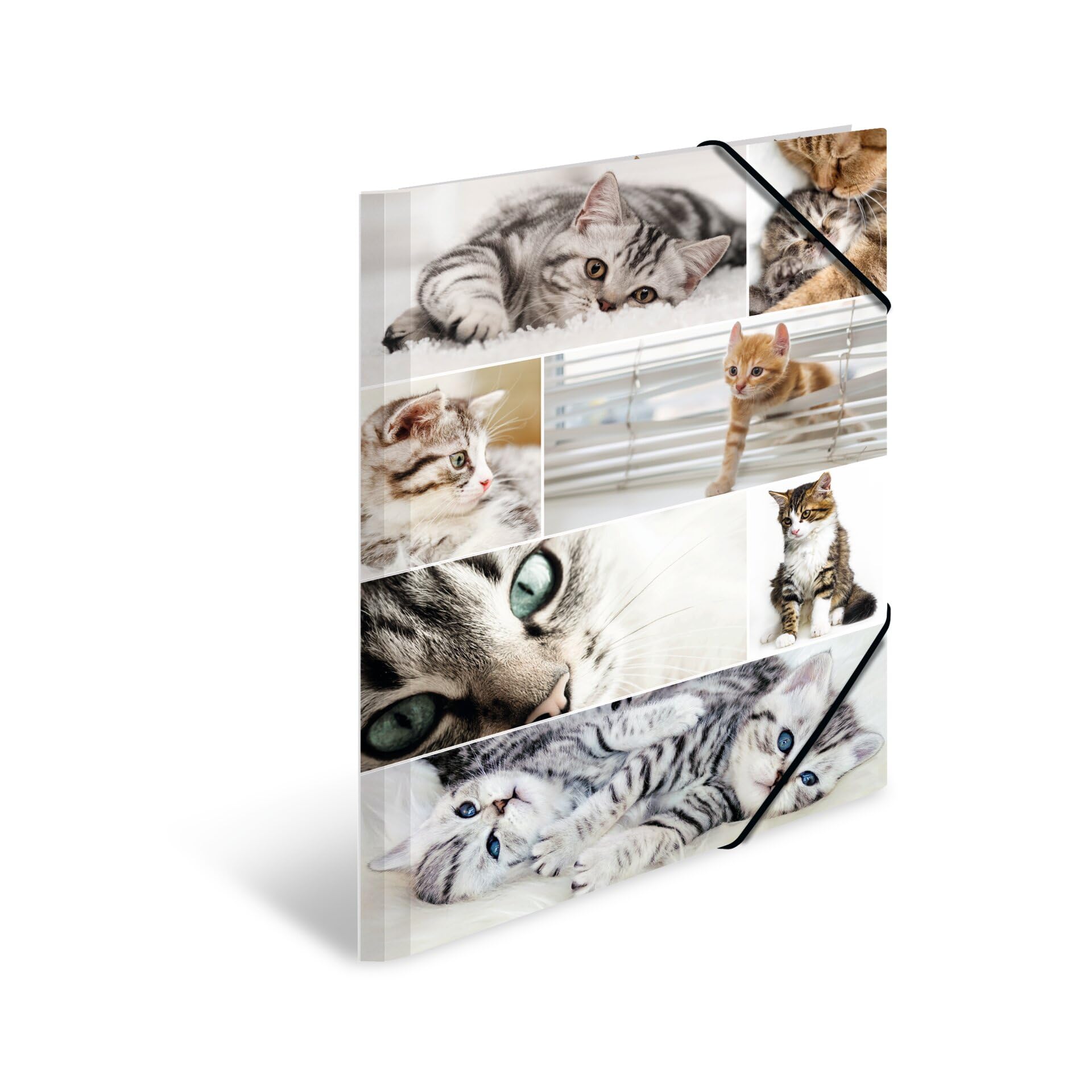 HERMA Elastic Folder Animals with Cats Motif, A3, Sturdy Cardboard, with Inner Print, 1 Span Folder