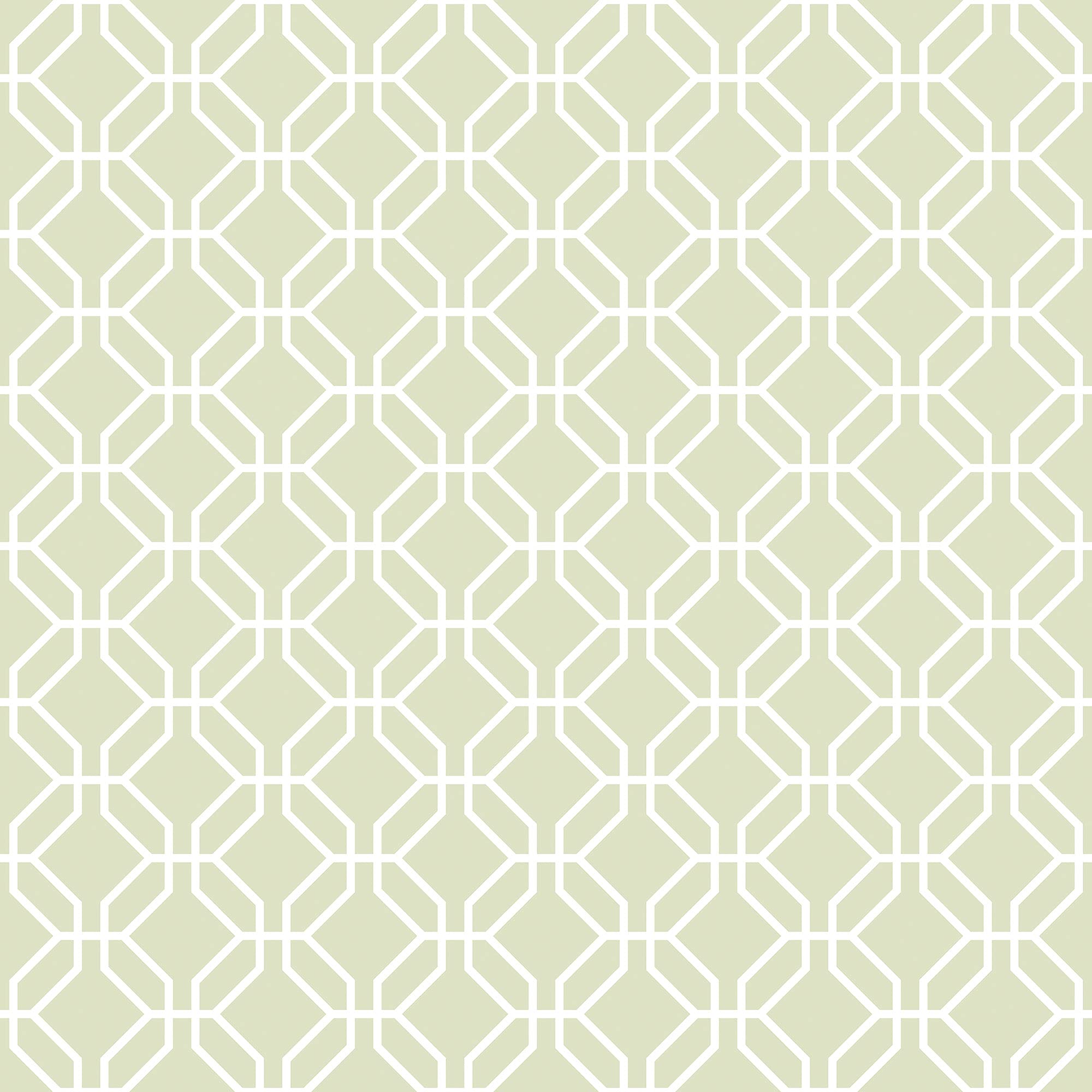 Galerie G78523 Secret Garden Trellis Negative Wallpaper, Green/White, 10m x 53cm