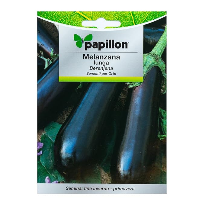 Semillas Berenjena Larga Morada (1.5 Gramos): Amazon.es: Jardín