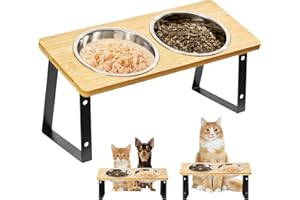 Smartoo Cat Food Bowl 304 Stainless Steel Elevated Cat Bowls 15° Raised Cat Bowl for Indoor Cats & Small Dogs Whisker Fatigue Cat Bowl, Anti Vomitting Cat Food and Water Bowl Set, Dishwasher Safe