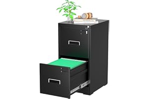 Greenvelly Black Filing Cabinet 2 Drawer, 18” D Vertical File Cabinet with Lock, Locking File Cabinet for Home Office, Metal File Cabinet for Hanging Letter/Legal Folders, Easy Assemble
