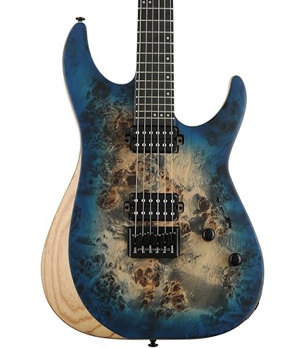 Amazon.com: Schecter Reaper-6 FR-S - Satin Sky Burst : Musical