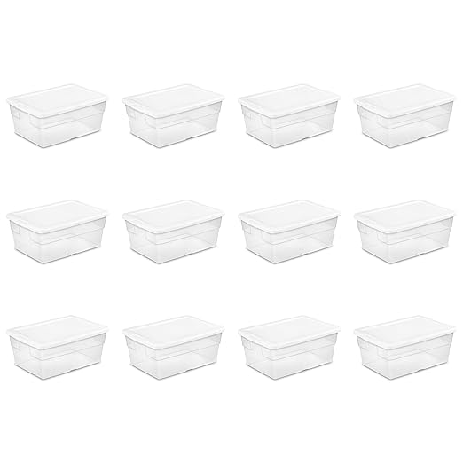 STERILITE Caja para Almacenamiento con Tapa abatible, 12 Unidades