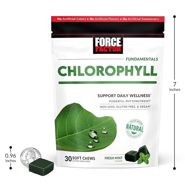 FORCE FACTOR CHLOROPHYLL SOFT CHEWS ANTIOXIDANTS SUPPLEMENT TO REDUCE BODY ODOR, PROMOTE FRESH BREATH, NON-GMO, GLUTEN-FREE, AND VEGAN, FRESH MINT FLAVOR, 30 SOFT CHEWS, GREEN