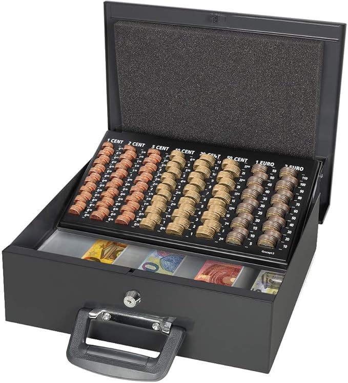 Large Cash Box with Key Lock, Parrency Portable Metal Money Box with