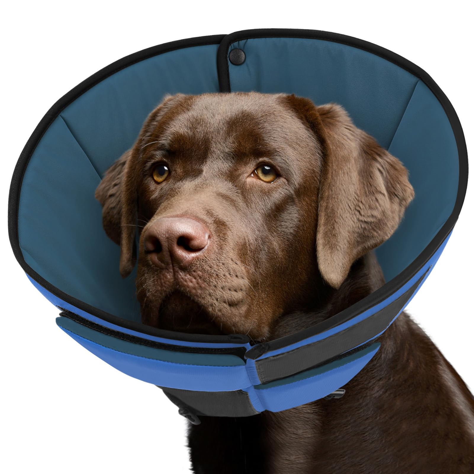 Photo 1 of Queenmore Dog Cones for Large Dogs, Soft Dog Cone for Large Breeds, Cone for Dogs After Surgery, Adjustable Elizabethan Collar for Pet to Prevent Licking Wounds, Blue L