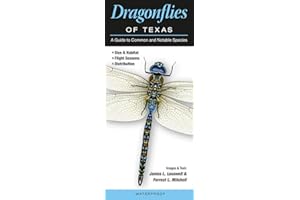 Dragonflies of Texas: A Guide to Common & Notable Species