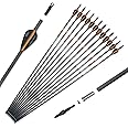 Pointdo 100% Carbon Arrow Practice Hunting Arrows with Removable Tips for Compound & Recurve Bow(Pack of 12)
