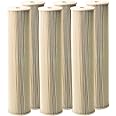 Pentair Pentek ECP5-20BB Big Blue Sediment Water Filter, 20-Inch, Whole House Heavy Duty Pleated Cellulose Polyester Replacement Cartridge, 20" x 4.5", White End-Cap, 5 Micron, Pack of 6