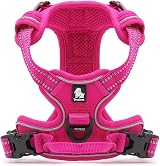 Truelove TLH5651 No-Pull Reflective Dog Harness XL Fuchsia view 4