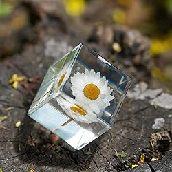 Bon Cube Real Flower Desk Accessory Mini Resin Cube