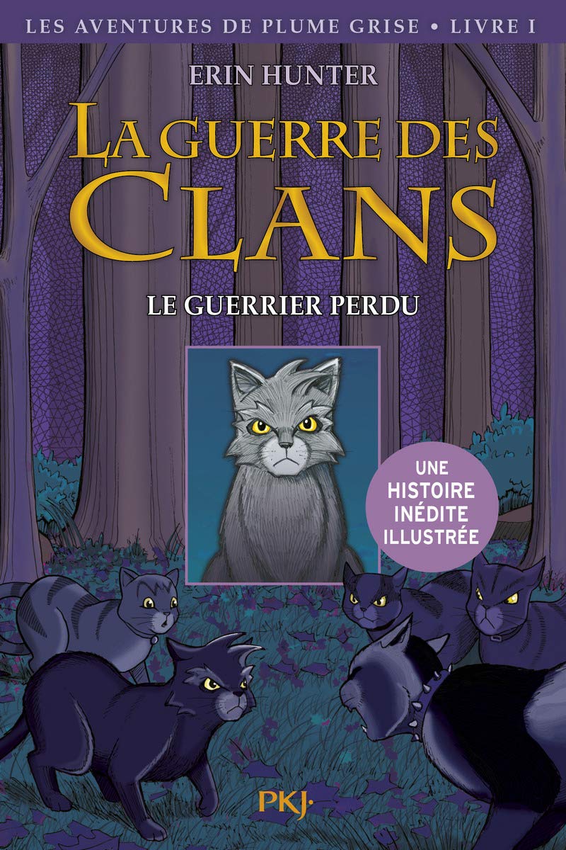 La Guerre Des Clans Tome 1 Le Guerrier Perdu Illustre 1 Hors Collection Seriel French Edition Hunter Erin Jolley Dan Barry James L Carlier Aude 9782266210621 Amazon Com Books