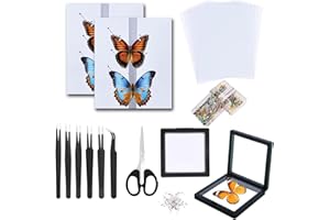 DDDZERONG Complete Insect Specimen Tools for Student - 5in EVA Table, Pinning & Display Kit, Perfect for Classroom Labs, Butterfly Study, Student Projects‌