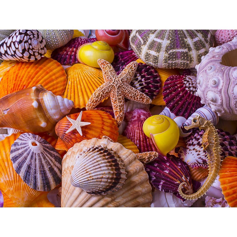 Vermont Christmas Company Sea Shell Treasures Jigsaw Puzzle 550 Piece