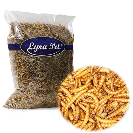 Lyra Pet 2 kg Mehlwürmer getrocknet Futter für Fische Nager Vögel Igel Reptilien