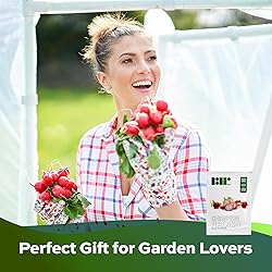 500 Champion Radish Seeds | USA