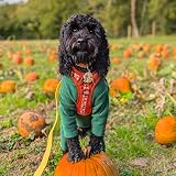 Pet Wiz Warm Four-Legged Dog Fleece Green XXL Weather-Resistant view 2