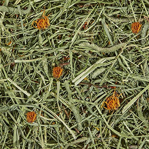 Kaytee Timothy Hay Plus with Marigolds - Image 4
