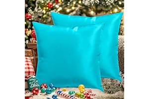 SUSIE'S GARDEN Outdoor Waterproof Throw Pillow Covers 18x18 Set of 2 Decorative Teal Blue Patio Furniture Cushion Covers Outside Decor for Couch Garden Bench Tent Balcony Sofa