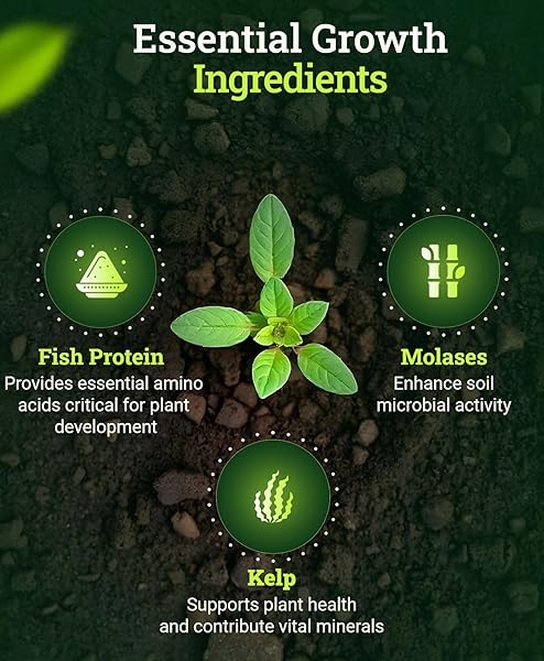 FOXFARM BUSH DOCTOR WHOLLY MACKEREL FISH FERTILIZER, FX14113 – LIQUID PLANT NUTRIENT FOR SEEDLINGS, TRANSPLANTS, AND VEGETATIVE GROWTH – NPK 3-1-0 (PINT)