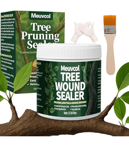 Amazon.com: Etisso® LacBalsam® Wound Closure for Trees (385 g) · Wound Balm  Tree · Tree Plaster for Bark Injury & Cuts · Tree Wax for Wound Treatment ·  Specially for Ornamental Trees