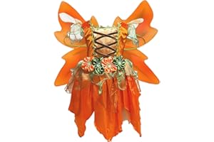 Petitebella Fairy Costume Dress 1-10y