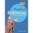 Practical Balinese: A Communication Guide (Balinese Phrasebook & Dictionary)