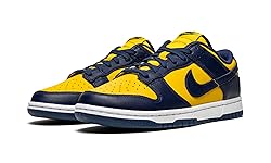 Nike Dunk Low Retro Women's Basketball