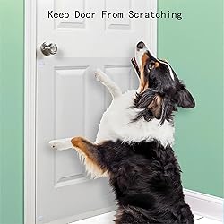 DYCacrlic 5-Pack 24x24 Plexiglass Sheets,PET Sheet