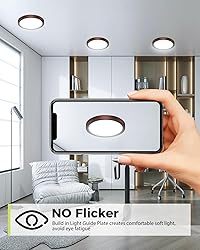 hepside 1Pack Dimmable Flush Mount Ceiling Light