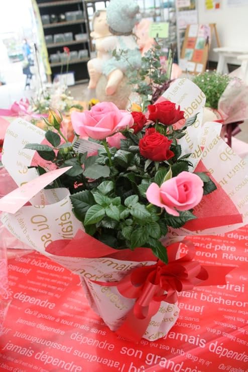 Amazon Co Jp フラワーバレンタイン ラッピング込 ミニバラ寄せ植え 6寸鉢 期間限定品 送料込価格 ギフト Diy 工具 ガーデン