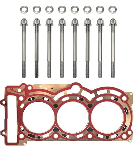 cana Amazon.com: Can-Am 420431816 BRP Cylinder Head Gasket Maverick