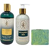 Bath & Body Works Aromatherapy Eucalyptus Pine - Body Wash + Foam Bath - Mosturizing Body Lotion with a Fresh Forest Bar Soap