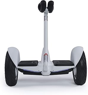 Xiaomi Ninebot Mini