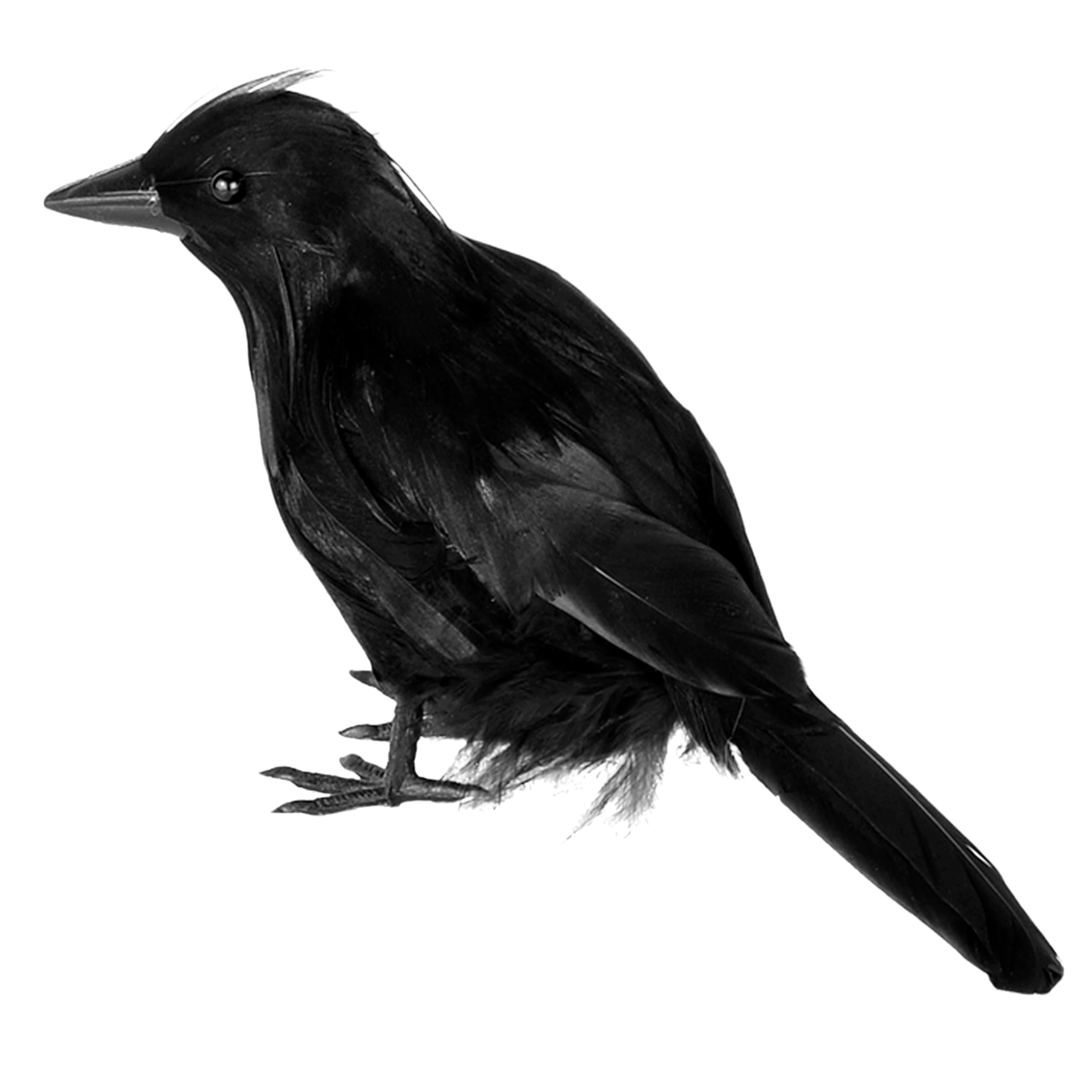 Photo 1 of JOYIN Halloween Crow Raven 6.7" Feather Bird, Black Prop Fake Birds Crows Halloween Decorations for Haunted House Graveyard, Cemetery Yard Table Party Favors