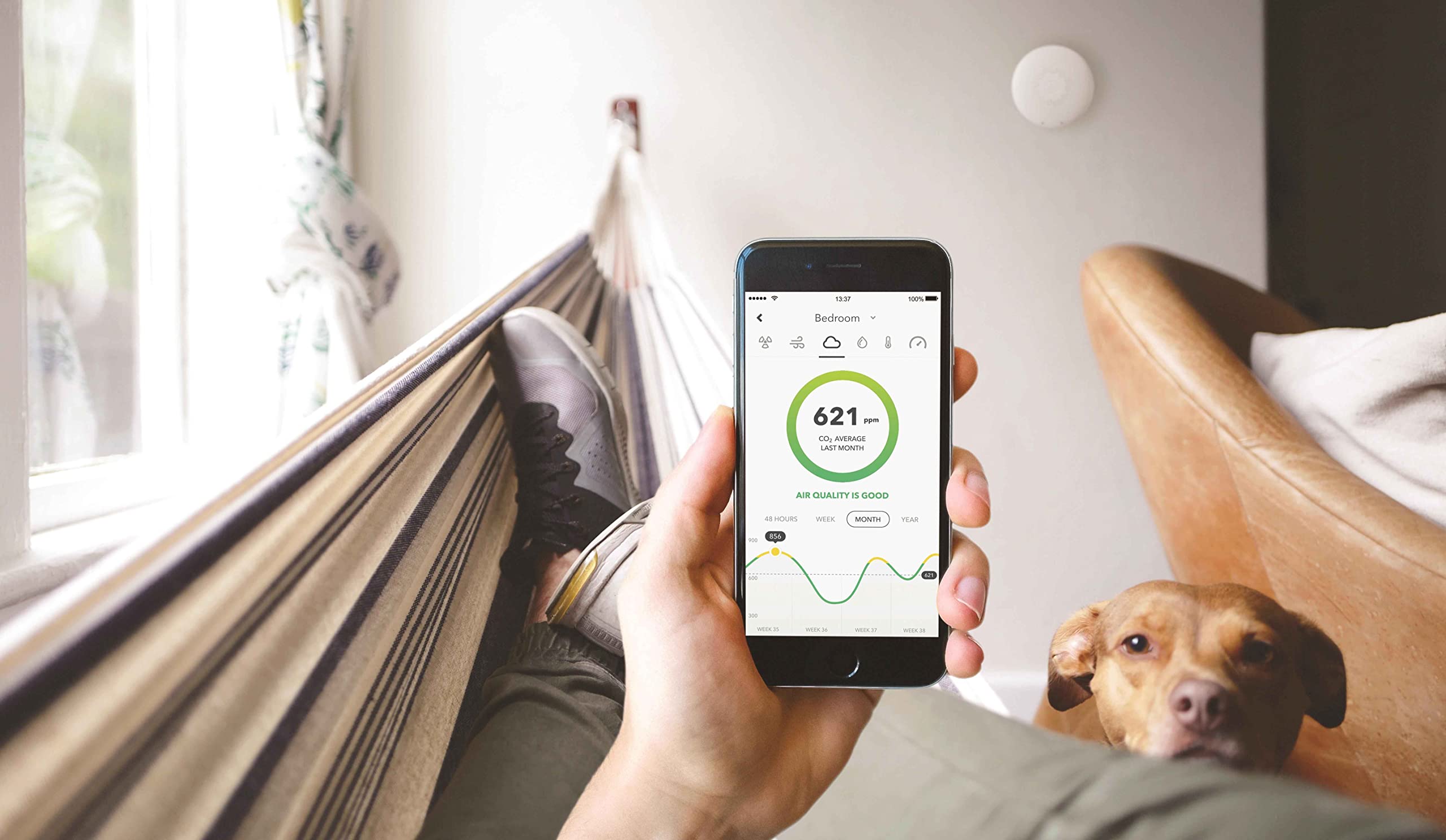 Indoor Air Quality Monitor
