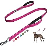 Fida 4 FT Heavy Duty Dog Leash with 2 Comfortable Padded Handles, Traffic Handle & Advanced Easy Snap Hook, Reflective Walking Lead for Large, Medium & Small Breed Dogs, Rose