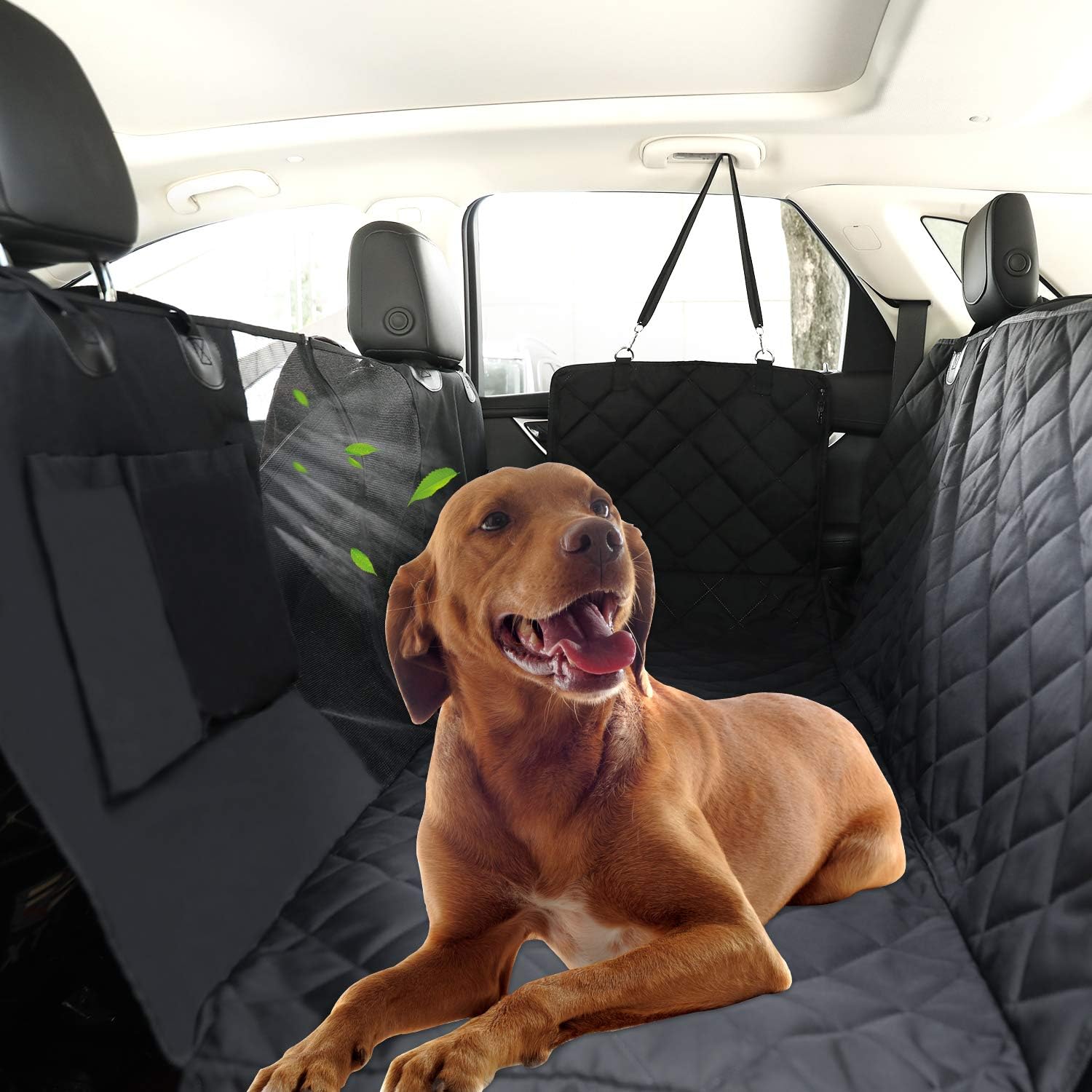 car window cover for dogs
