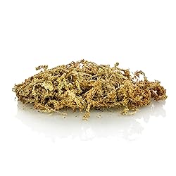 Premium New Zealand Sphagnum Moss by Gardenera