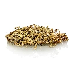 Premium Grade Sphagnum Moss by Gardenera - Organic