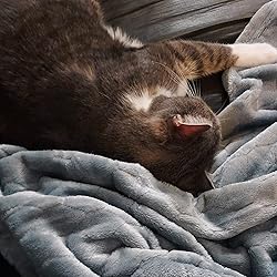 TOONOW Fleece Blanket Super Soft Cozy Throw Blanket