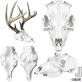 71GGOUaLh L. AC UL160 SR160,160 Herbal Remedies in Voodoo Healing