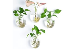 Kingbuy Wall Hanging Propagation Station Glass Plant Terrarium Container Egg Shape for Propagating Hydroponic Plants Home Office Garden Decor Wedding, 4 Pack