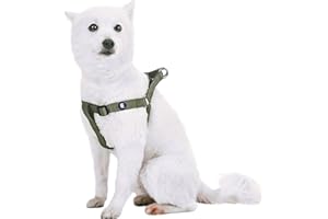 Blueberry Pet Essentials Step-in Dog Harness, Medium Size | Adjustable Military Green Vest | Classic Solid Nylon for Boy & Girl Dogs, Chest Girth 20" -26"