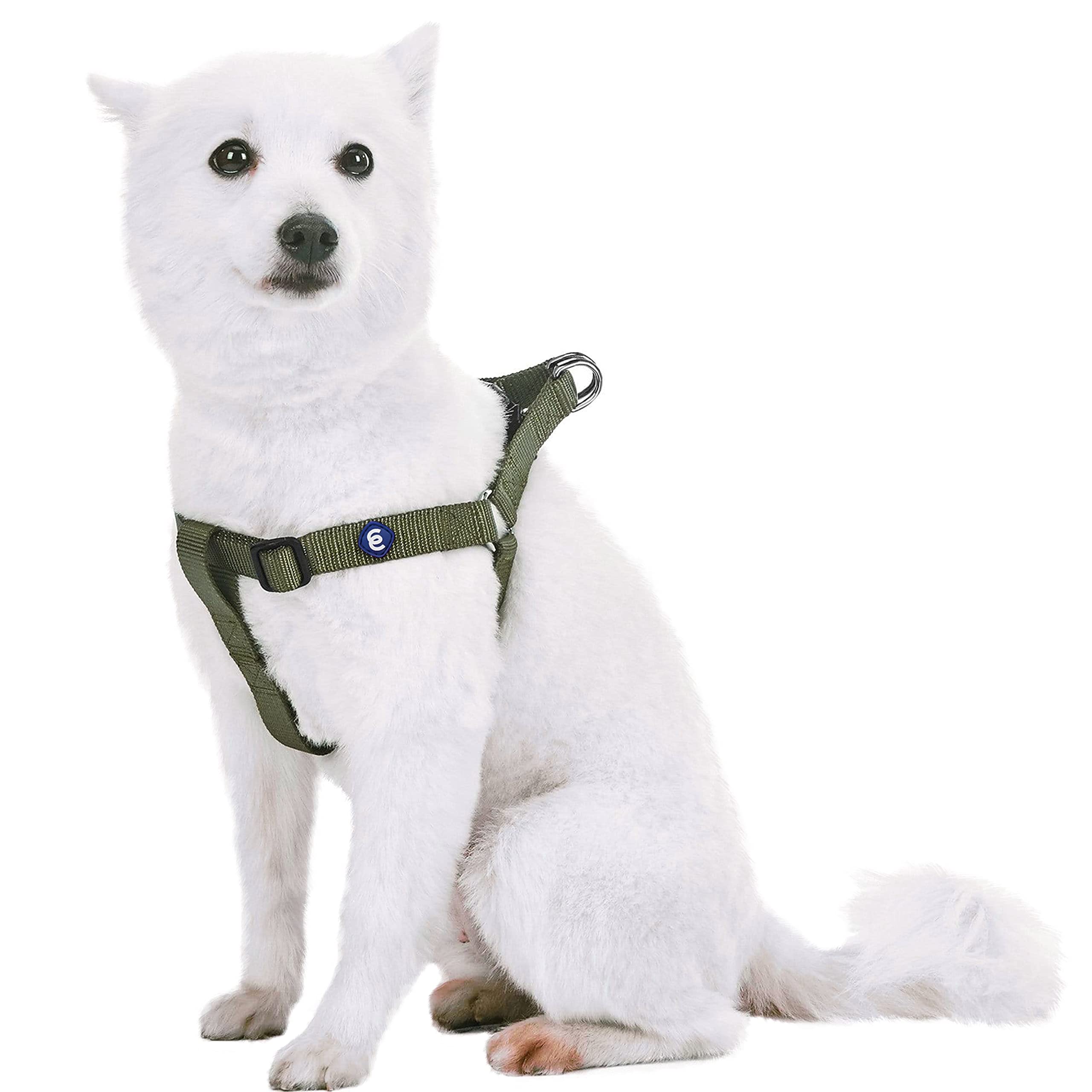 Blueberry Pet Harness. Chest circumference: 42-54 cm, Classic, Solid, Military Green, Adjustable Nylon, Dog Harness, Matching Collar and Lead Sold Separately.