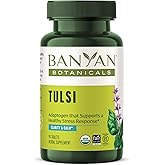 Banyan Botanicals Tulsi (Holy Basil) – Uplifting Adaptogen – Organic Lung and Respiratory Health Supplement* – 90 Tablets – Non-GMO Sustainably Sourced Vegan