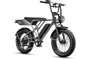 Jasion RetroVolt&Pro Electric Bike for Adults, 2000/3000W Peak - 30/38MPH Electric Mountain Bike, 48/52V, 13/20AH Removable B
