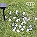 SOLVAO Solar Globe String Lights (30 LED) - Waterproof Outdoor Decorative Lighting for Your Patio, Garden, Deck, Umbrella or Camping Trip - Create an Inviting Warm White Atmosphere Powered by The Sun